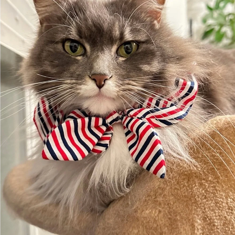 Striped Red, White, and Blue Cat Bow Tie